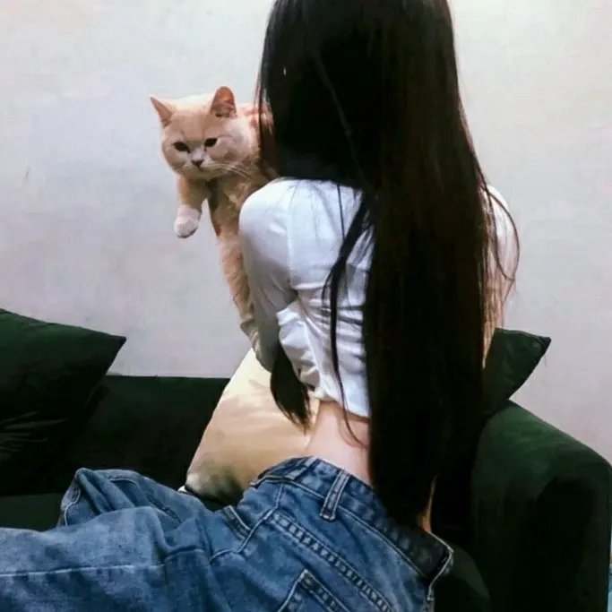 彩虹2015